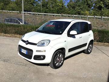 Fiat Panda 1.3 MJT 80 CV 4x4 Van 2 Posti