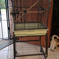 gabbia per pappagalli 
