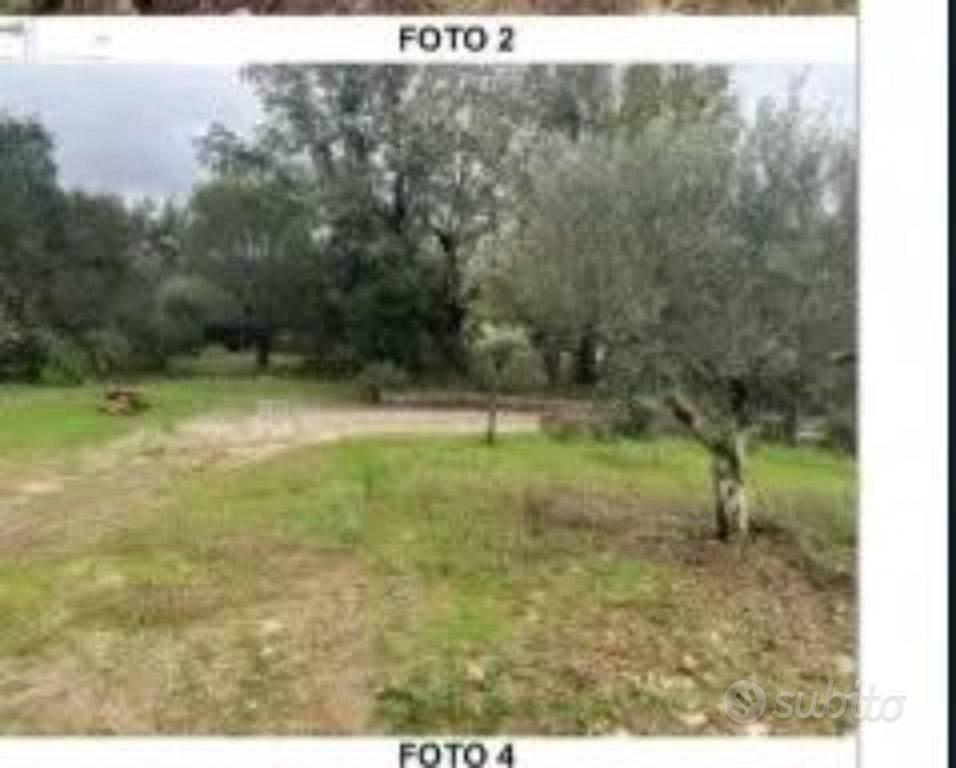 Immobile in asta di 12896 m² a Ispani - Vista 3