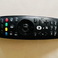 Tv Lg oled 55” non funzionante