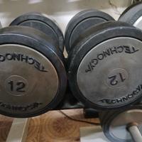 Manubri Pesi Palestra 12 kg Technogym Uretano
