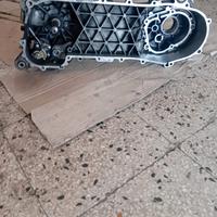 Carter piaggio  ditech