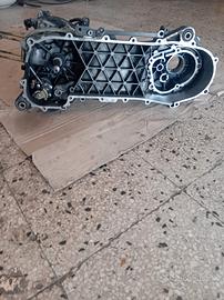 Carter piaggio  ditech