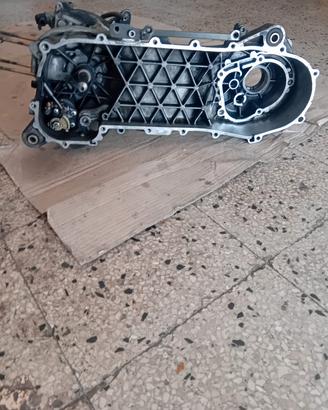 Carter piaggio  ditech