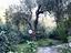 Immagine 11