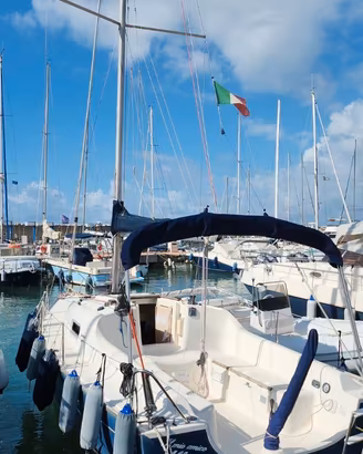 Jeanneau Sun 2500 (anno 2006)