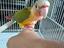 Immagine 1