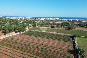 TER. AGRICOLO A POLIGNANO A MARE