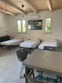 X ditte eaziende 3 posti letto zona baraccola
