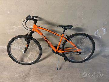 Bici Olmo Sentiero arancione