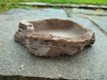 Ciotola acqua per rettili