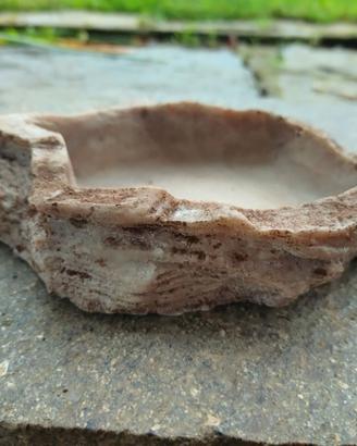 Ciotola acqua per rettili