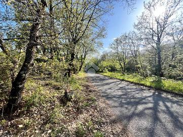 TER. AGRICOLO A TREVIGNANO ROMANO