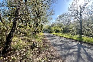 TER. AGRICOLO A TREVIGNANO ROMANO