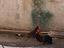 Immagine 3