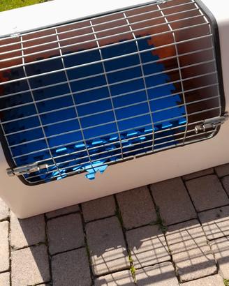 gabbia per cani per auto