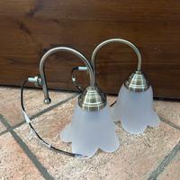 Due lampade con campana a fiore