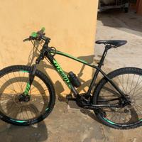 Whistle Patwin 29