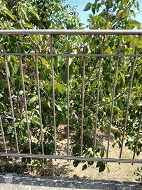 inferiata in ferro pieno