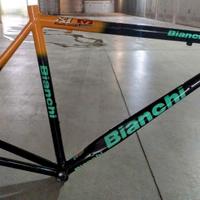 telaio Bianchi mega pro ev2