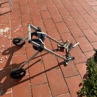 Carrello a rotelle per cani