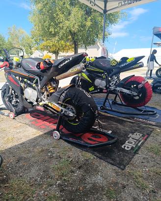  Due moto  Ohvale GP0 160  10"