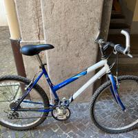 Bicicletta