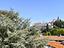 Immagine 29