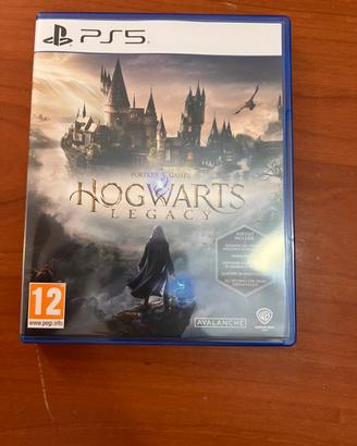 Gioco PS5 ‘Hogwarts Legacy’