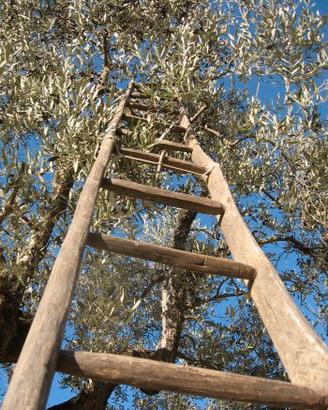 Scala di legno