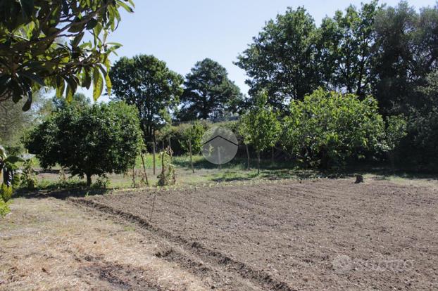 TER. AGRICOLO A SANTA MARINA