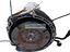 Immagine 4