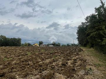 RUSTICO A PIEDIMONTE SAN GERMANO