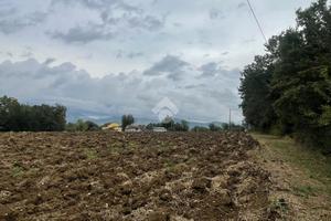 RUSTICO A PIEDIMONTE SAN GERMANO