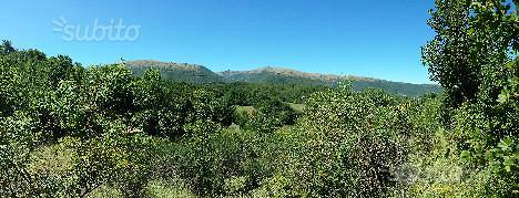 Terreno edificabile adiacente Parco dei Sibillini - Vista 2