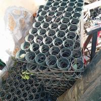 Griglie salva Prato in polietilene 80x40 h4,5 