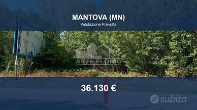 Immobile in asta di 1585 m² a Mantova