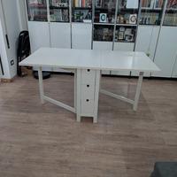tavolo pieghevole ikea
