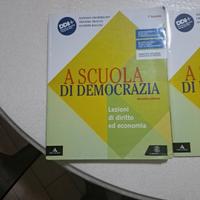 a scuola di democrazia 