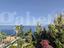 Immagine 20