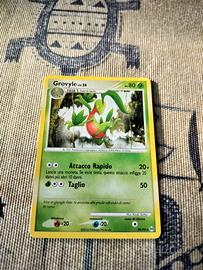 Carta Pokémon Grovyle 39 Liv. 24 Arceus