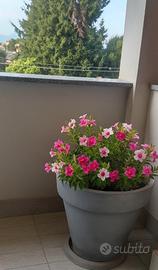 Vasi per piante e fiori in polietilene, 2 pezzi.