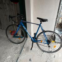 Bicicletta da corsa