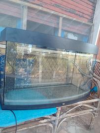 acquario 