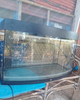 acquario 