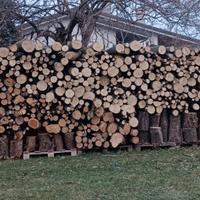 Legna da ARDERE 