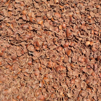 Pellet Gusci di Nocciola