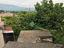 Immagine 29