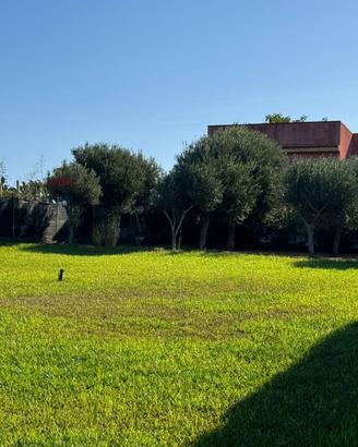 Casa Indipendente - Pachino