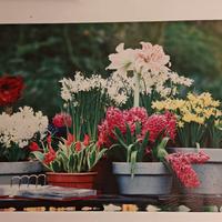 canvas tela quadro decorazione floreale 